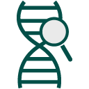 İstanbul evde Laboratuvar genetic Testleri